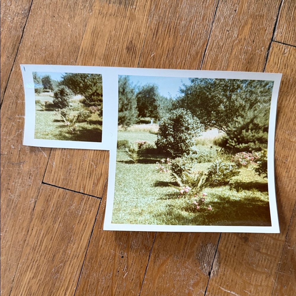 Vintage Photo Collection - Picture 4 of 11